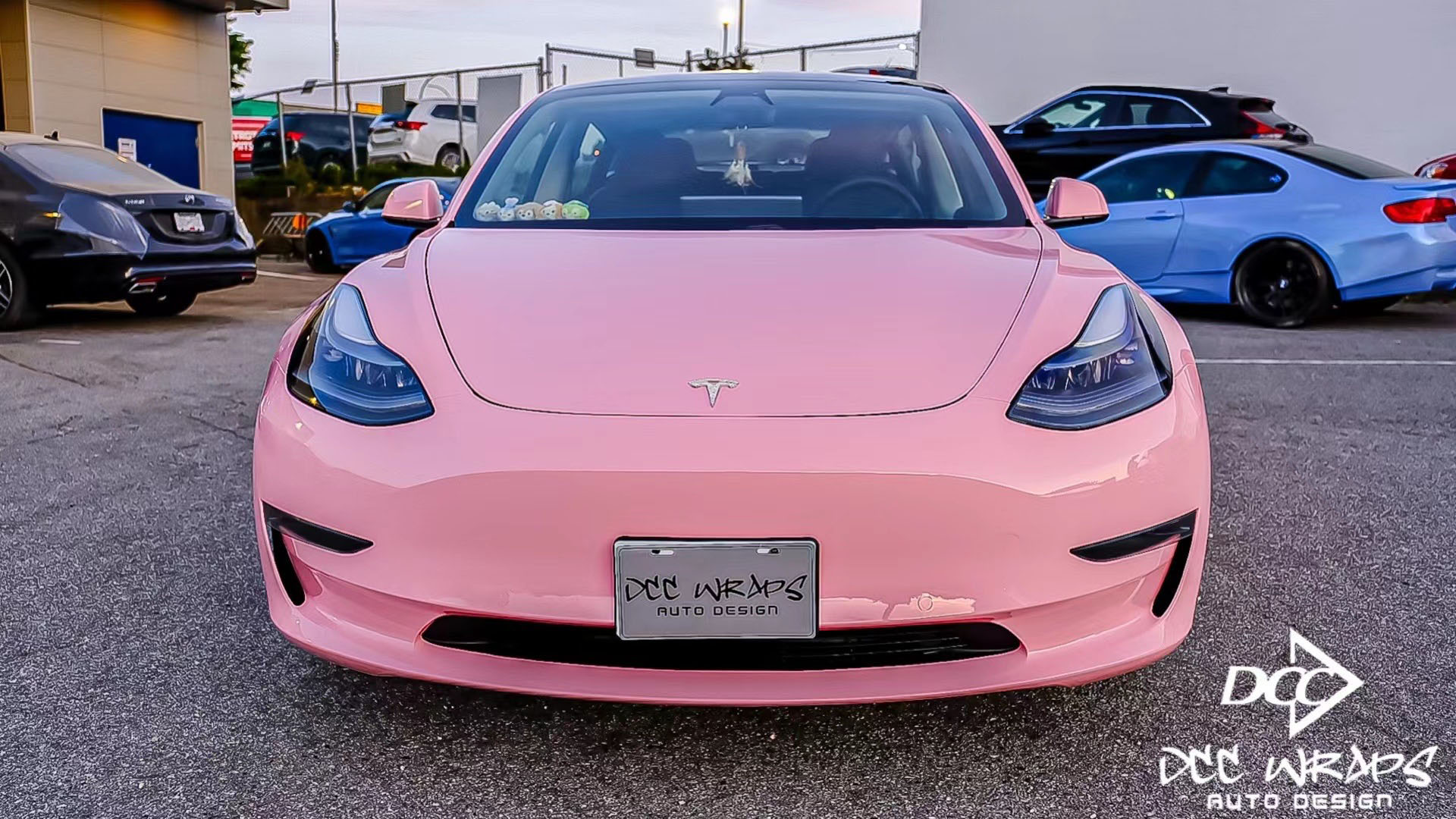 Tesla Model 3 wrapped frozen berry